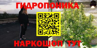 СК Рыбинск